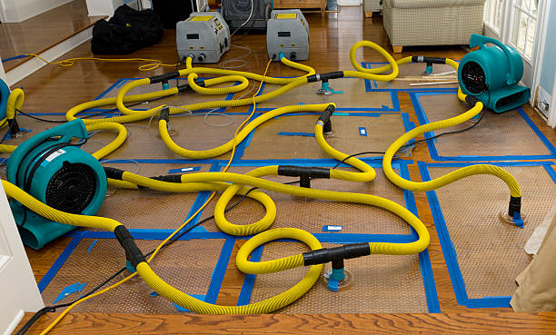 Professional Crawl Space Water Removal technician working in Clermont, KY